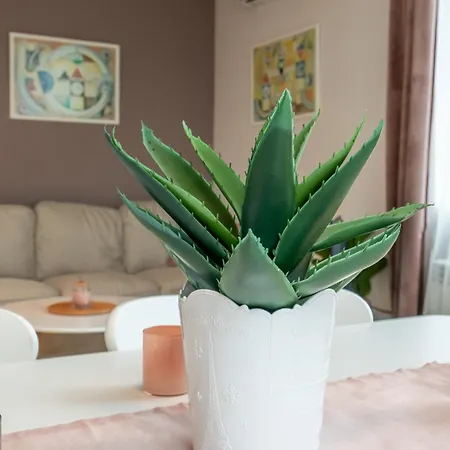 Fusion Finesse Apartment Sofia