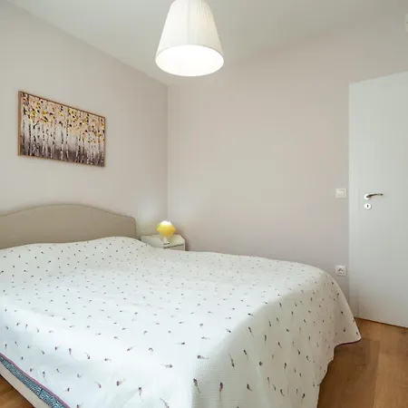 Fusion Finesse Sofia